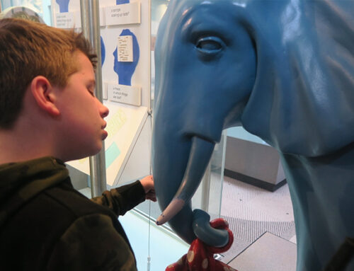 Pre-Teen Scientists at the Natural History Museum